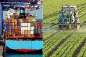 denizli, son dakika denizli haberleri