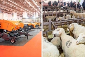 izmir, Bergama, Tunç Soyer, Bergama Belediyesi, Hakan Koştu, Son Dakika İzmir, son dakika izmir haberleri, son dakika bergama haberleri, izmir bergama haberleri