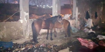 izmir, Bornova, Ege Üniversitesi, Necdet Budak, Ege Üniversitesi Tıp Fakültesi, Ege Üniversitesi Hastanesi, Ege Üniversitesi Tıp Fakültesi Hastanesi, Son Dakika İzmir, son dakika izmir haberleri, izmir bornova haberleri, son dakika bornova haberleri