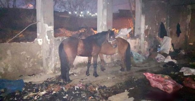 izmir, Bornova, Ege Üniversitesi, Necdet Budak, Ege Üniversitesi Tıp Fakültesi, Ege Üniversitesi Hastanesi, Ege Üniversitesi Tıp Fakültesi Hastanesi, Son Dakika İzmir, son dakika izmir haberleri, izmir bornova haberleri, son dakika bornova haberleri