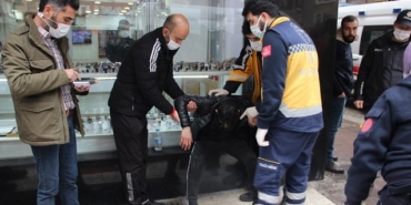 manisa, son dakika manisa haberleri