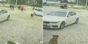 son dakika kütahya haberleri, kütahya, son dakika kütahya trafik kazası haberleri