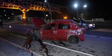 aydın, son dakika aydın haberleri