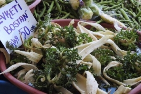 son dakika kütahya haberleri, kütahya, son dakika kütahya trafik kazası haberleri, son dakika kütahya simav trafik kazası haberleri