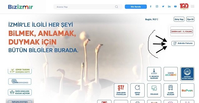 aydın, muğla, son dakika aydın haberleri, son dakika muğla haberleri, son dakika kuşadası haberleri