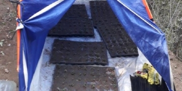 İzmir Ödemiş Bademli Mahallesi uyuşturucu operasyonu