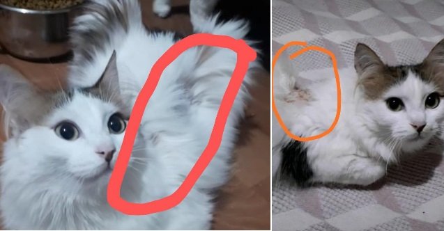 izmir, Ödemiş, izmir trafik kazası, İzmir kaza, Ödemiş trafik kazası, Balabanlı Mahallesi, Son Dakika İzmir, izmir ödemiş haberleri, son dakika izmir haberleri, son dakika ödemiş haberleri, son dakika izmir trafik kazası haberleri, son dakika ödemiş trafik kazası haberleri, ödemiş balabanlı mahallesi