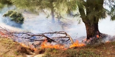aydın, son dakika aydın haberleri, son dakika kuşadası haberleri