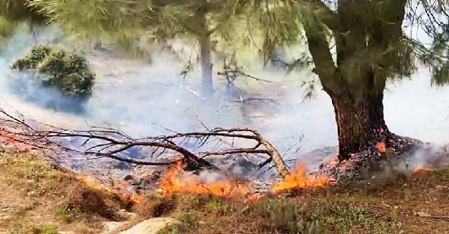 aydın, son dakika aydın haberleri, son dakika kuşadası haberleri