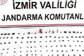 izmir, Bayraklı, izmir trafik kazası, Alaybey, Bayraklı trafik kazası, Son Dakika İzmir, son dakika izmir haberleri, son dakika bayraklı haberleri, izmir bayraklı haberleri, son dakika izmir trafik kazası haberleri, son dakika bayraklı trafik kazası haberleri