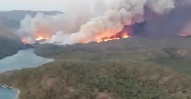 son dakika uşak haberleri, son dakika uşak cinayet haberleri