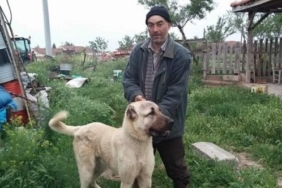 izmir, İzmir Emniyet Müdürlüğü, İzmir İl Emniyet Müdürlüğü, Son Dakika İzmir, son dakika izmir haberleri, son dakika kütahya haberleri, kütahya