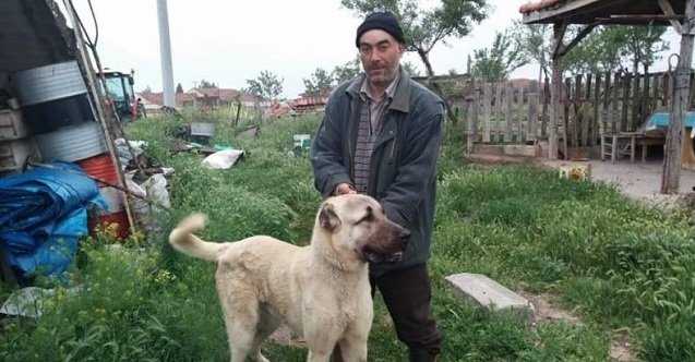 izmir, İzmir Emniyet Müdürlüğü, İzmir İl Emniyet Müdürlüğü, Son Dakika İzmir, son dakika izmir haberleri, son dakika kütahya haberleri, kütahya