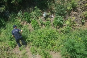 son dakika manisa haberleri, son dakika manisa trafik kazası haberleri, son dakika manisa şehzadeler trafik kazası haberleri, son dakika manisa şehzadeler haberleri