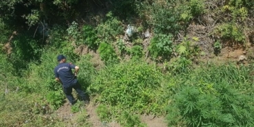 son dakika manisa haberleri, son dakika manisa trafik kazası haberleri, son dakika manisa şehzadeler trafik kazası haberleri, son dakika manisa şehzadeler haberleri