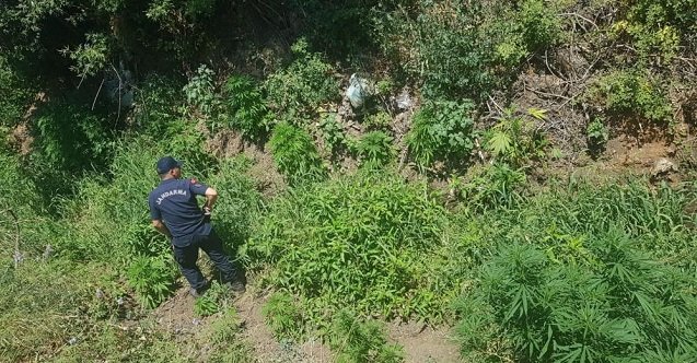 son dakika manisa haberleri, son dakika manisa trafik kazası haberleri, son dakika manisa şehzadeler trafik kazası haberleri, son dakika manisa şehzadeler haberleri