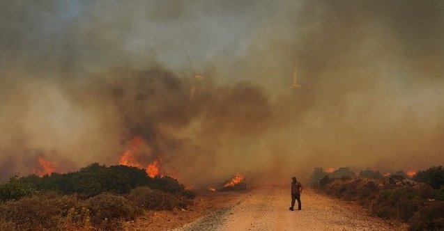 son dakika muğla haberleri, son dakika muğla yangın haberleri, son dakika muğla orman yangını haberleri