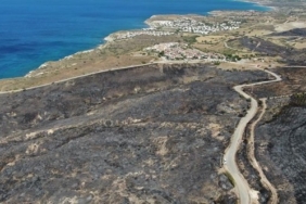 son dakika muğla haberleri, son dakika muğla yangın haberleri, son dakika muğla orman yangını haberleri