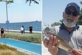 son dakika muğla haberleri, son dakika muğla trafik kazası haberleri, son dakika muğla seydikemer trafik kazası haberleri, son dakika muğla fethiye trafik kazası haberleri, son dakika muğla fethiye haberleri, son dakika muğla seydikemer haberleri