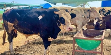 izmir, Ege Üniversitesi Tıp Fakültesi, Ege Üniversitesi Hastanesi, Ege Üniversitesi Tıp Fakültesi Hastanesi, Son Dakika İzmir, son dakika izmir haberleri