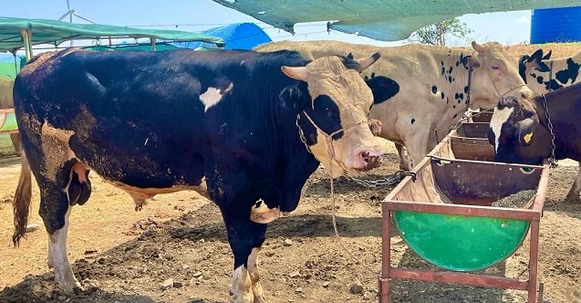 izmir, Ege Üniversitesi Tıp Fakültesi, Ege Üniversitesi Hastanesi, Ege Üniversitesi Tıp Fakültesi Hastanesi, Son Dakika İzmir, son dakika izmir haberleri