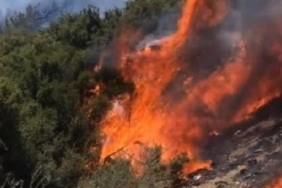 İzmir Seferihisar Beyler ve Doğanbey orman yangını son dakika son durum
