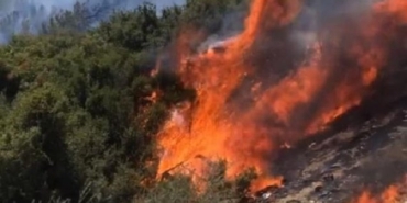 İzmir Seferihisar Beyler ve Doğanbey orman yangını son dakika son durum