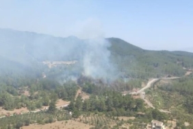 son dakika kütahya haberleri, son dakika kütahya trafik kazası haberleri, son dakika kütahya tavşanlı trafik kazası haberleri