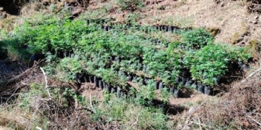 İzmir uyuşturucu operasyonu Beydağ Buca Dikili Kiraz Ödemiş uyuşturucu operasyonu