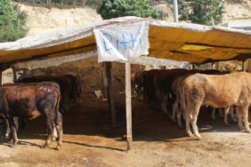 son dakika kütahya haberleri, son dakika kütahya trafik kazası haberleri, son dakika kütahya tavşanlı trafik kazası haberleri