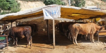 son dakika kütahya haberleri, son dakika kütahya trafik kazası haberleri, son dakika kütahya tavşanlı trafik kazası haberleri