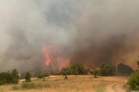 izmir, Selçuk, Pamucak, İzmir Açık Hava Konserleri, izmir konserleri, Son Dakika İzmir, izmir açıkhava konserleri, son dakika izmir haberleri, izmir selçuk haberleri, izmir konser takvimi, son dakika selçuk haberleri