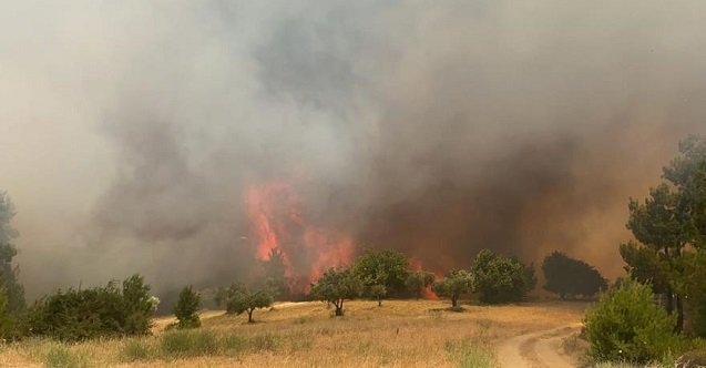 izmir, Selçuk, Pamucak, İzmir Açık Hava Konserleri, izmir konserleri, Son Dakika İzmir, izmir açıkhava konserleri, son dakika izmir haberleri, izmir selçuk haberleri, izmir konser takvimi, son dakika selçuk haberleri