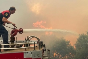 son dakika aydın haberleri, son dakika aydın trafik kazası haberleri, son dakika aydın söke trafik kazası haberleri, son dakika kuşadası haberleri, son dakika aydın kuşadası trafik kazası haberleri, son dakika aydın söke haberleri