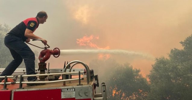 son dakika aydın haberleri, son dakika aydın trafik kazası haberleri, son dakika aydın söke trafik kazası haberleri, son dakika kuşadası haberleri, son dakika aydın kuşadası trafik kazası haberleri, son dakika aydın söke haberleri
