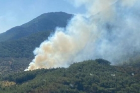 İzmir Kemalpaşa Vişneli orman yangını son dakika son durum