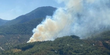İzmir Kemalpaşa Vişneli orman yangını son dakika son durum