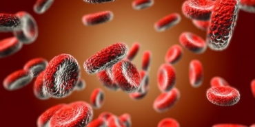 son dakika izmir haberleri