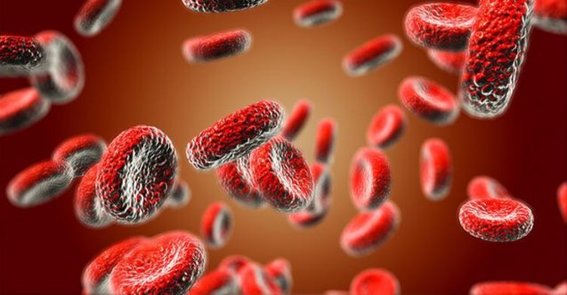 son dakika izmir haberleri