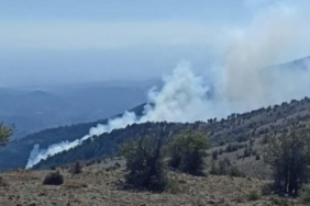 İzmir Bergama Çobanlar Köyü orman yangını kontrol altına alındı