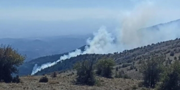 İzmir Bergama Çobanlar Köyü orman yangını kontrol altına alındı