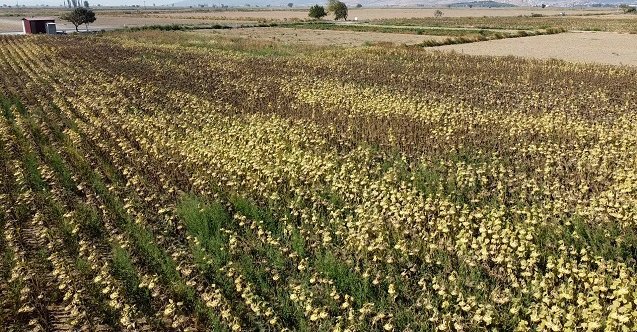 son dakika izmir haberleri