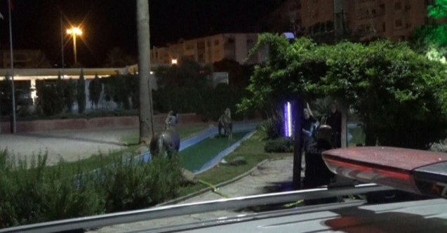 son dakika denizli haberleri