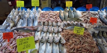 İzmir’de balık fiyatları yarı yarıya düştü