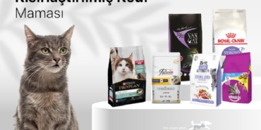 Kısırlaştırılmış Kediler İçin Beslenme Rehberi En İyi Kedi Maması Seçenekleri