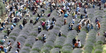 son dakika izmir haberleri, izmir