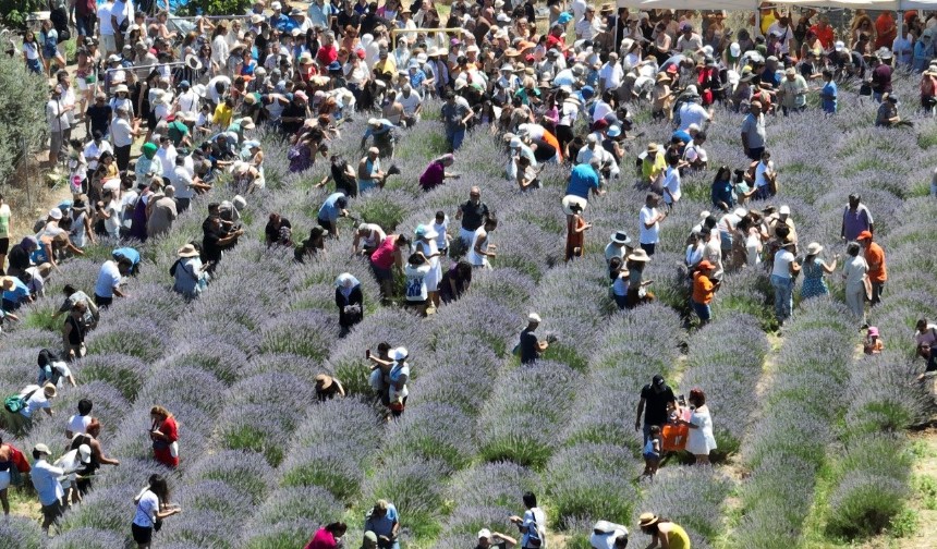 son dakika izmir haberleri, izmir