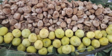 son dakika izmir haberleri, izmir