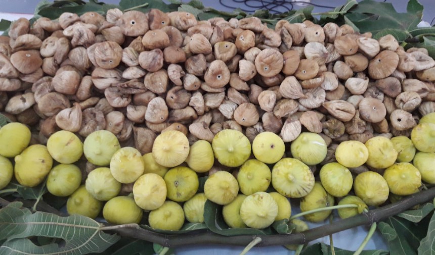 son dakika izmir haberleri, izmir