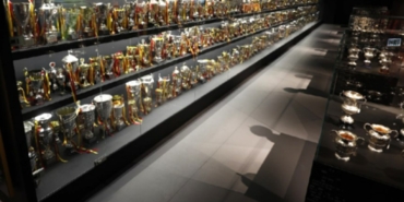 Galatasaray’ın Türkiye Kupası şampiyonlukları Galatasaray Avrupa karnesi